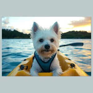 #0194-SM Doggy Paddle Boat 4x6 Glossy Photo - Fast-Secure Shipping